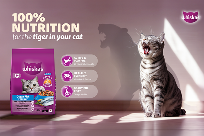 Whiskas tiger project